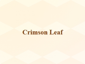 Autumn Themed Cursive Typography Options